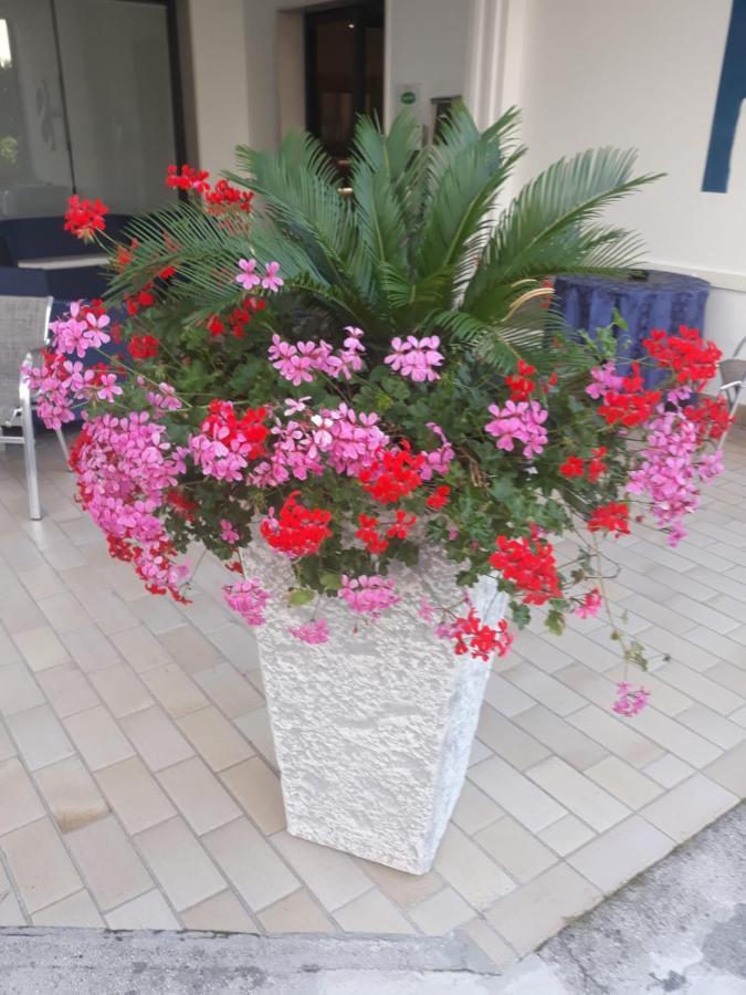 Hotel Serenella Lido di Jesolo Exteriér fotografie